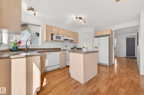 19019 49 Avenue, Edmonton, AB - Indoor Photo Showing Kitchen With Double Sink