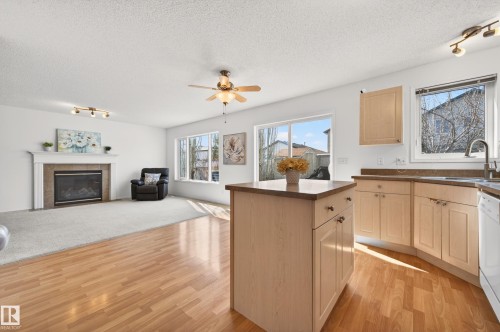 19019 49 Avenue, Edmonton, AB - Indoor Photo Showing Kitchen With Fireplace With Double Sink