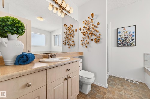 19019 49 Avenue, Edmonton, AB - Indoor Photo Showing Bathroom