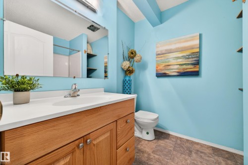 19019 49 Avenue, Edmonton, AB - Indoor Photo Showing Bathroom