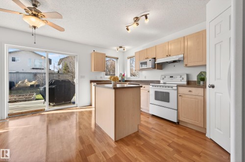 19019 49 Avenue, Edmonton, AB - Indoor Photo Showing Kitchen