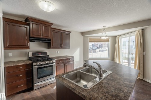 1117 59A Street, Edmonton, AB - Indoor Photo Showing Kitchen With Double Sink