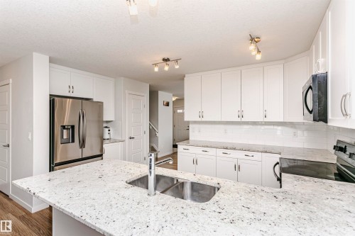 1230 163 Street, Edmonton, AB - Indoor Photo Showing Kitchen With Double Sink