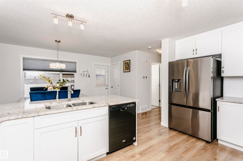 1230 163 Street, Edmonton, AB - Indoor Photo Showing Kitchen With Double Sink