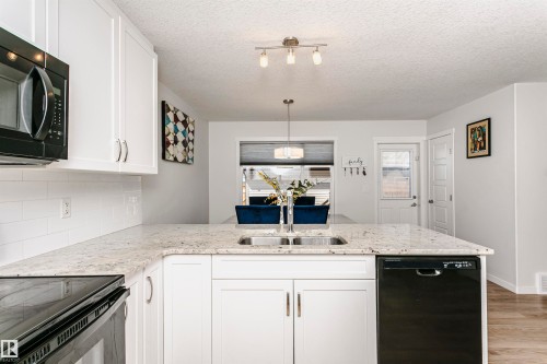 1230 163 Street, Edmonton, AB - Indoor Photo Showing Kitchen With Double Sink With Upgraded Kitchen
