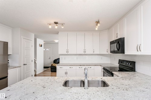 1230 163 Street, Edmonton, AB - Indoor Photo Showing Kitchen With Double Sink With Upgraded Kitchen
