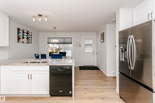 1230 163 Street, Edmonton, AB - Indoor Photo Showing Kitchen With Double Sink