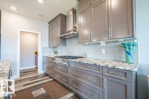 1603 158 Street, Edmonton, AB - Indoor Photo Showing Kitchen With Upgraded Kitchen