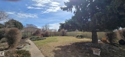 Expansive backyard featuring a partial privacy fence, mature evergreen tree, and a concrete pathway - 