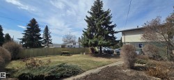 Spacious grassy yard featuring mature evergreen trees and established perimeter shrubs - 