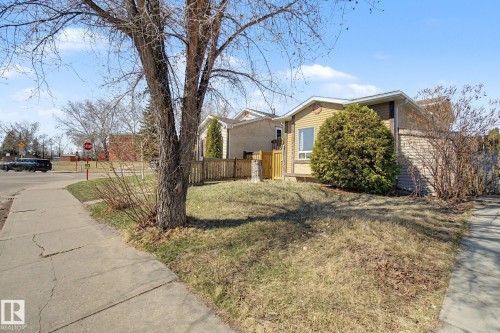 Exterior property featuring yellow siding, a prominent front window, and mature landscaping - 4106 38 Street, Edmonton, AB - Outdoor