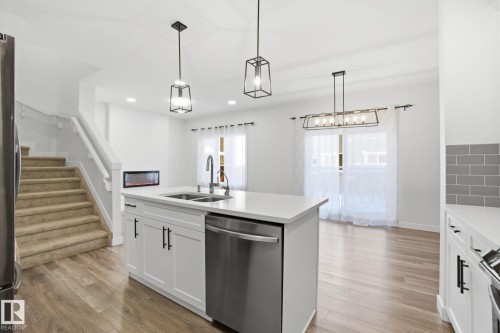 19732 28 Avenue, Edmonton, AB - Indoor Photo Showing Kitchen With Double Sink