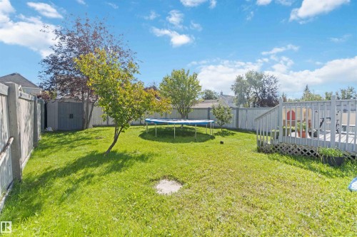 The property features a fenced backyard with a well-maintained lawn and mature trees - 1017 82 Street, Edmonton, AB - Outdoor With Backyard