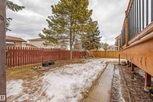 Spacious backyard featuring a multi-level wood deck with black vertical balusters, a concrete pathway, a mature evergreen tree, and a stained wood privacy fence - 2437 89 Street, Edmonton, AB 