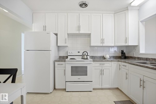 10667 65 Street, Edmonton, AB - Indoor Photo Showing Kitchen With Double Sink