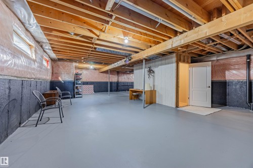 128 215 Blackburn East Drive, Edmonton, AB - Indoor Photo Showing Basement