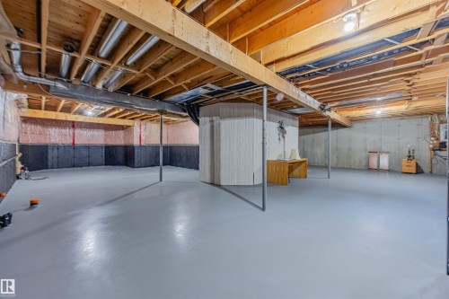128 215 Blackburn East Drive, Edmonton, AB - Indoor Photo Showing Basement