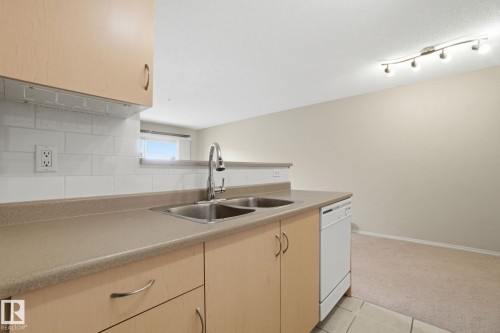 214 17011 67 Avenue, Edmonton, AB - Indoor Photo Showing Kitchen With Double Sink