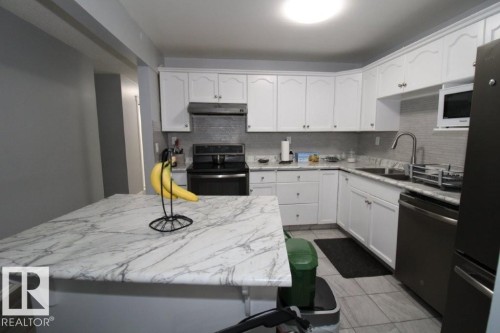 104 1620 48 St Nw, Edmonton, AB - Indoor Photo Showing Kitchen With Double Sink