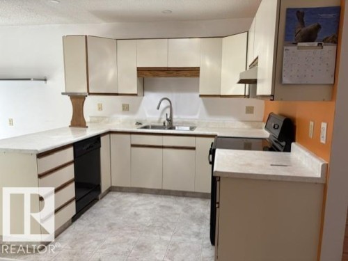 241 Oeming Road, Edmonton, AB - Indoor Photo Showing Kitchen With Double Sink