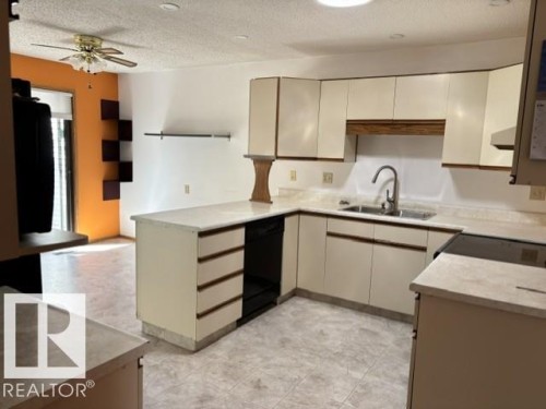 241 Oeming Road, Edmonton, AB - Indoor Photo Showing Kitchen With Double Sink