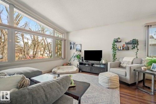 Look at all the natural light in this room! - 10649 67 Avenue, Edmonton, AB - Indoor Photo Showing Living Room