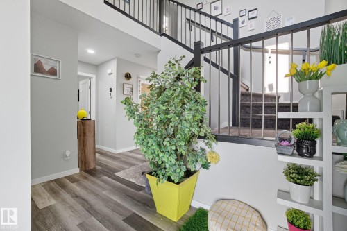 Split-level entry featuring wood-finish flooring, a dark baluster staircase with metal spindles, and light gray wall paint - 2039 Wonnacott Way, Edmonton, AB 