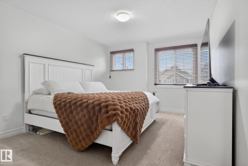 This inviting bedroom features light-colored walls, carpeted flooring, and two windows providing natural light - 1014 162 St Sw, Edmonton, AB - Indoor Photo Showing Bedroom