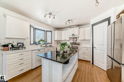 8 54514 Rr12, Rural Lac Ste. Anne County, AB - Indoor Photo Showing Kitchen With Double Sink
