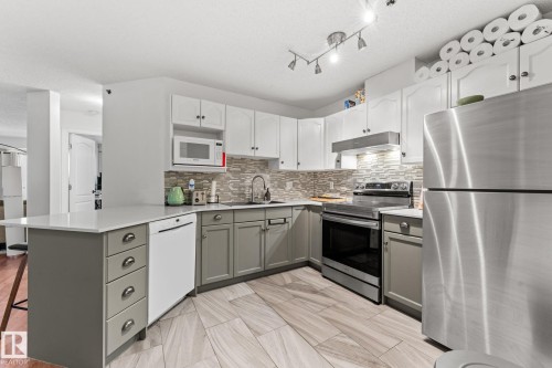311 9640 105 Street, Edmonton, AB - Indoor Photo Showing Kitchen With Upgraded Kitchen