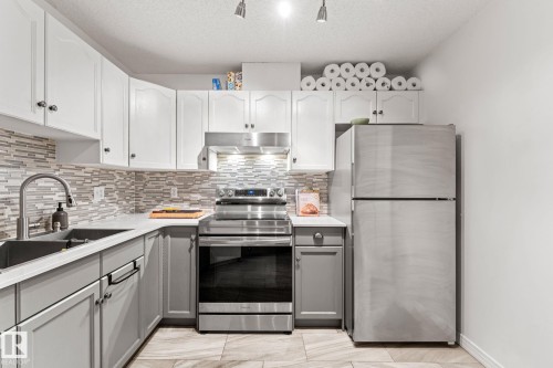 311 9640 105 Street, Edmonton, AB - Indoor Photo Showing Kitchen With Upgraded Kitchen