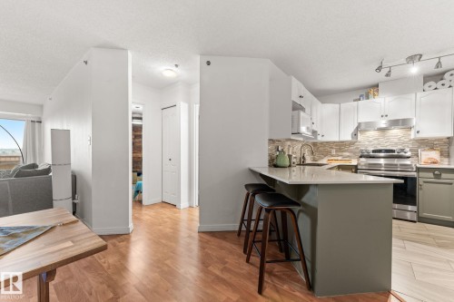 311 9640 105 Street, Edmonton, AB - Indoor Photo Showing Kitchen With Upgraded Kitchen