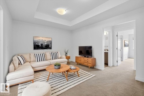 20315 43 Avenue, Edmonton, AB - Indoor Photo Showing Living Room