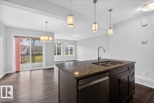 20315 43 Avenue, Edmonton, AB - Indoor Photo Showing Kitchen With Double Sink