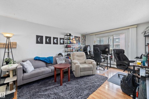 206 10529 93 Street, Edmonton, AB - Indoor Photo Showing Living Room