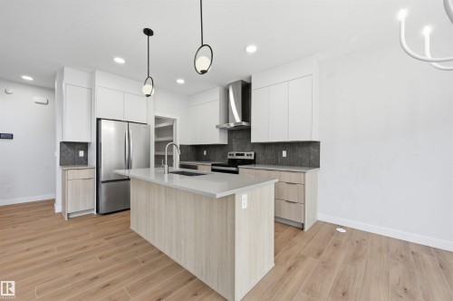 3048 Dixon Landing Landing, Edmonton, AB - Indoor Photo Showing Kitchen With Stainless Steel Kitchen With Upgraded Kitchen