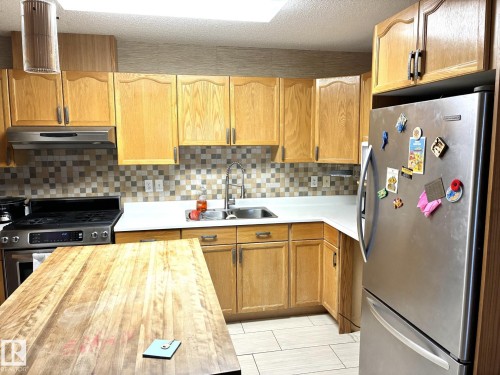 1248 48 Street, Edmonton, AB - Indoor Photo Showing Kitchen With Double Sink
