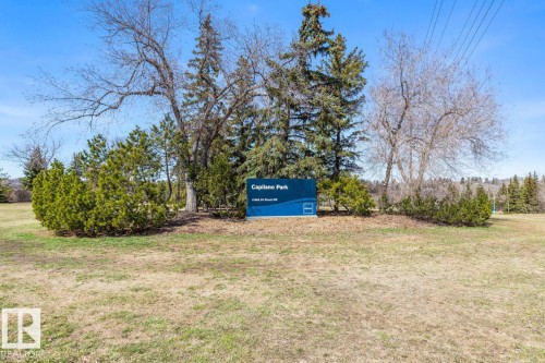 Capilano Park signage surrounded by diverse trees and evergreen shrubs - 4508 109A Avenue, Edmonton, AB - Outdoor With View