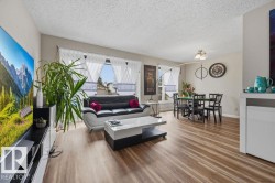Open-concept living area featuring wood-finish flooring, neutral wall tones, and multiple windows with white window treatments - 