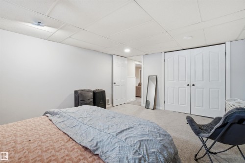 This room features light-colored walls and carpeting, a white drop ceiling, and white bifold closet doors with dark spherical handles - 5208 90 Avenue, Edmonton, AB - Indoor Photo Showing Bedroom