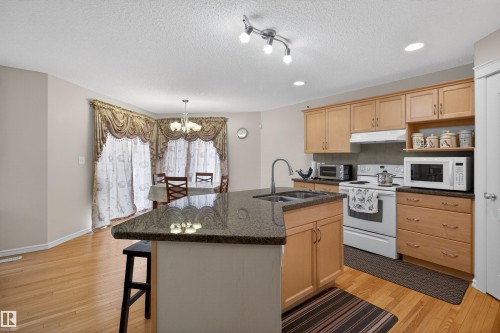 20707 56 Avenue, Edmonton, AB - Indoor Photo Showing Kitchen With Double Sink