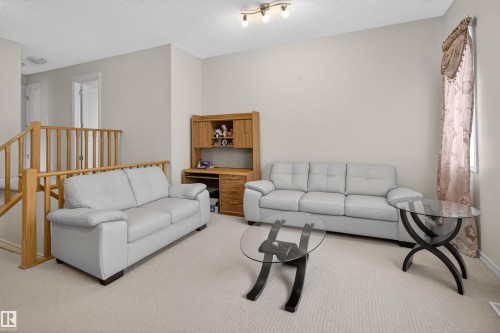 20707 56 Avenue, Edmonton, AB - Indoor Photo Showing Living Room