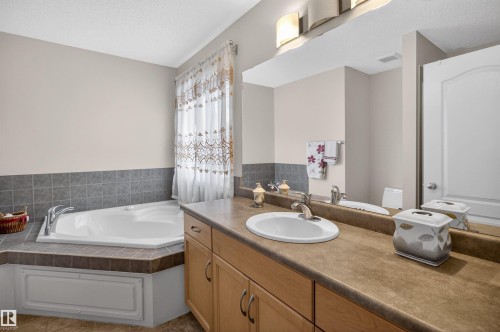 20707 56 Avenue, Edmonton, AB - Indoor Photo Showing Bathroom