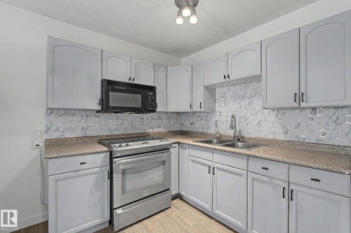 3317 107 Avenue, Edmonton, AB - Indoor Photo Showing Kitchen With Double Sink