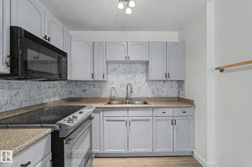 3317 107 Avenue, Edmonton, AB - Indoor Photo Showing Kitchen With Double Sink