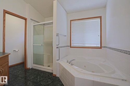 16203 89 Street, Edmonton, AB - Indoor Photo Showing Bathroom
