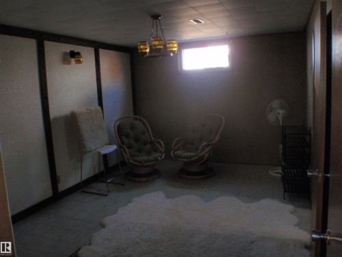 4510 57 Avenue, Barrhead, AB - Indoor Photo Showing Basement