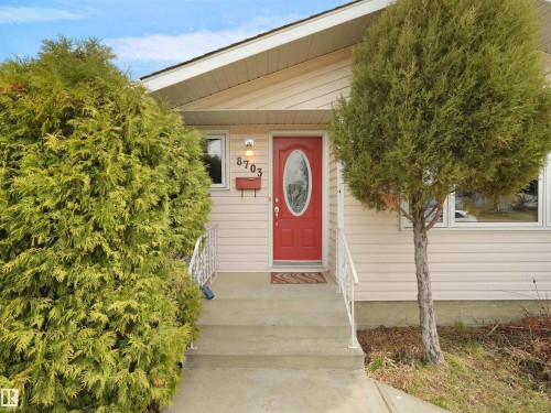 Welcoming front entry featuring a red oval-paneled door, concrete steps, white metal handrails, and mature front landscaping - 8703 73 Street, Edmonton, AB - Outdoor