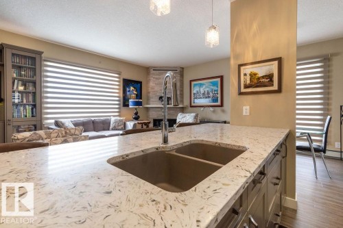 301 9707 105 Street, Edmonton, AB - Indoor Photo Showing Kitchen With Double Sink