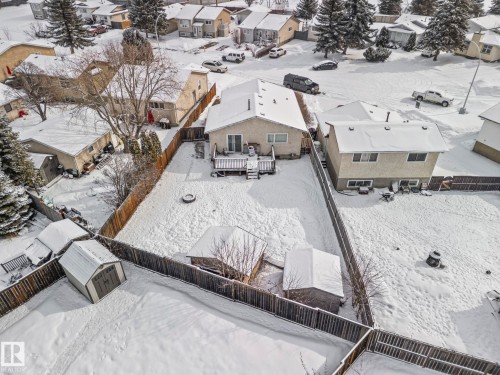 The property features a fenced yard, a rear deck, and a shed, with surrounding mature trees visible - 115 Warwick Road, Edmonton, AB - Outdoor